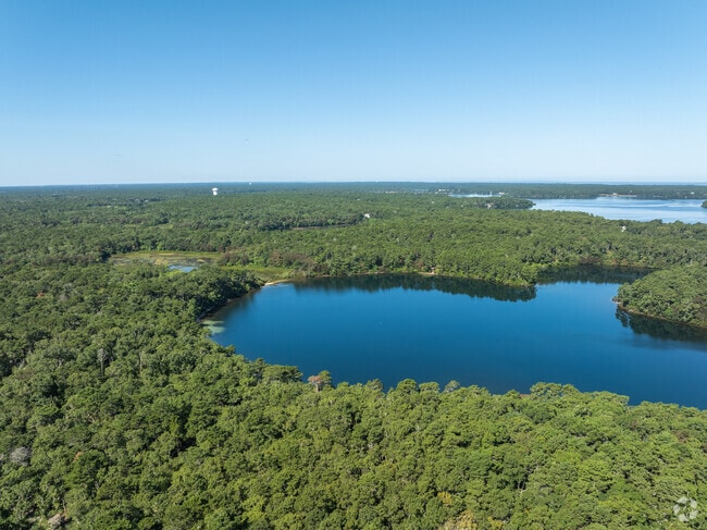 Explore the wilderness of Hawksnest State Park.