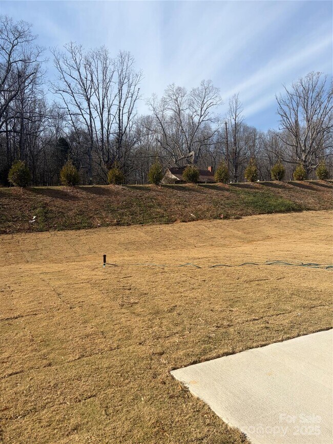 2162 Catawba Trace Dr, Catawba, NC 28609 - photo 2