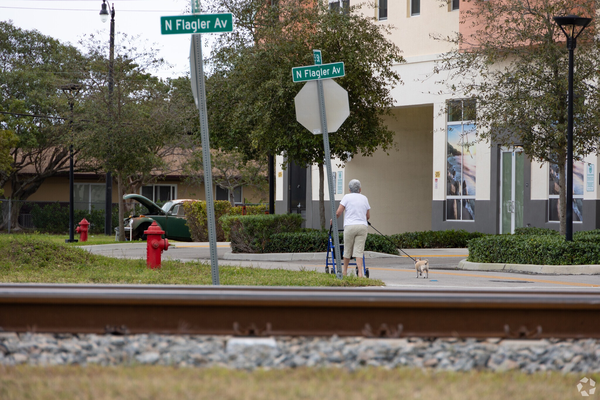 Residents can walk their dogs in the quiet streets of South Dixie neighborhood.