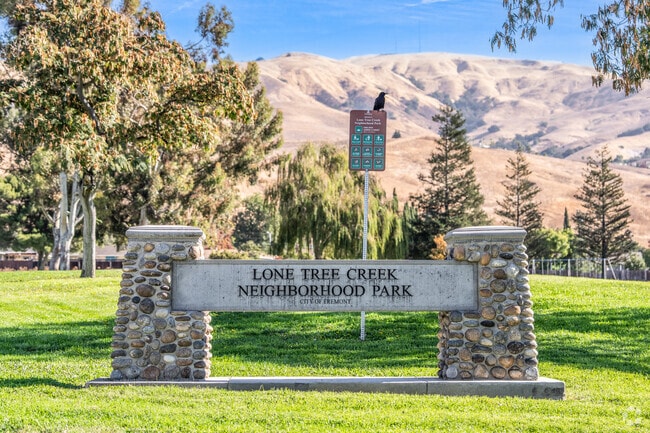 Lone Tree Park features open spaces for picnics and outdoor activities.