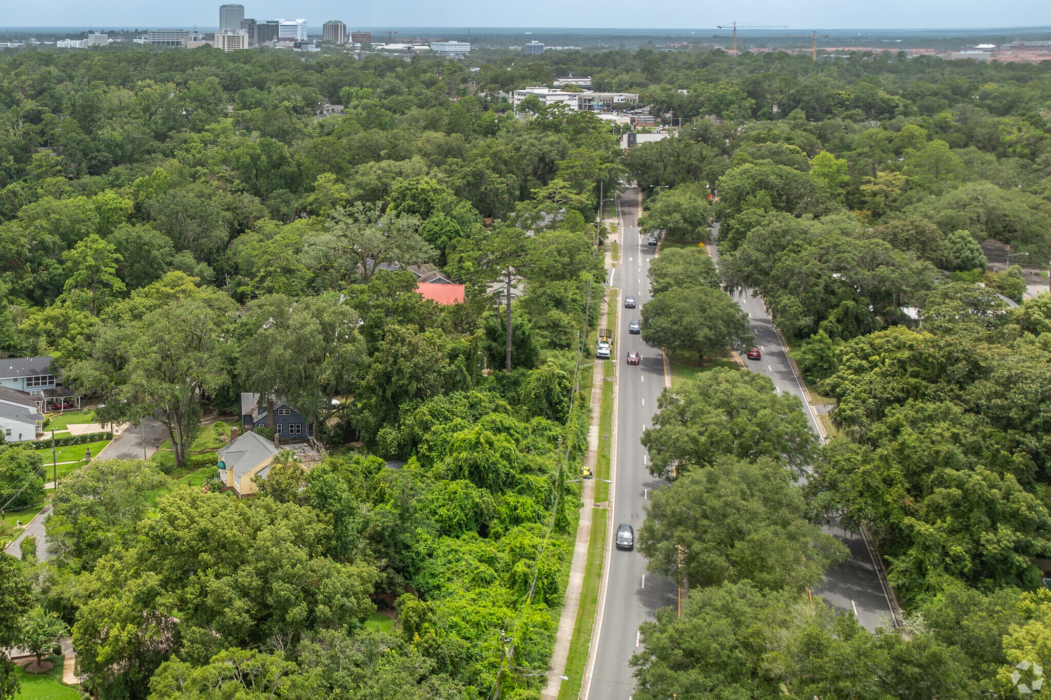 Thomasville Road is central to Midtown Tallahassee Residents.