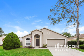 527 Napa Valley Cir, Valrico, FL 33594