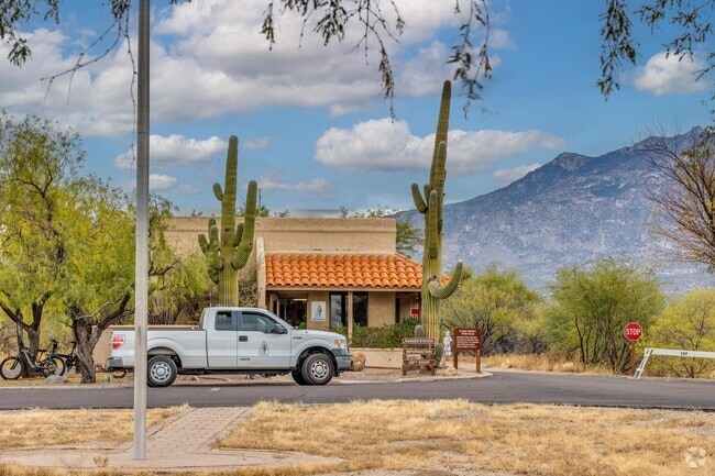 Catalina State Park has hiking, biking, and scenic views for people looking to explore outdoors.
