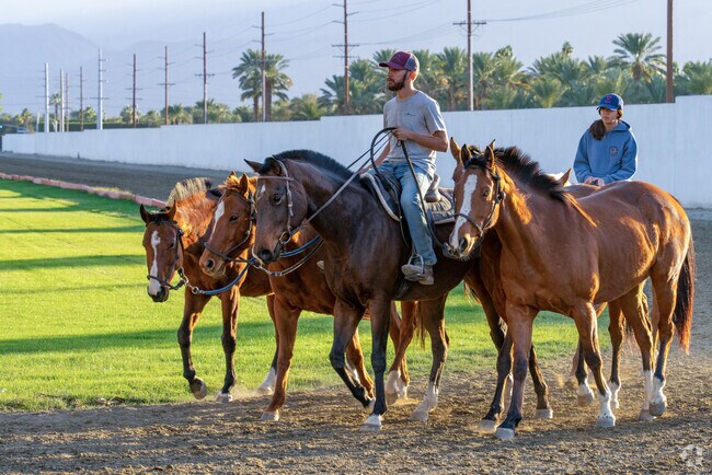 Experience the thrill of polo and equestrian sports at the nearby Coachella polo club, a great outing for North Shore residents.