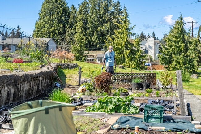 Bitter Lake Reservoir offers residents a community P-Patch to work their green thumbs in.