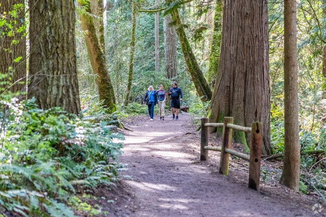 Noble Woods Park has many trails that go through the abundant trees and forestry.