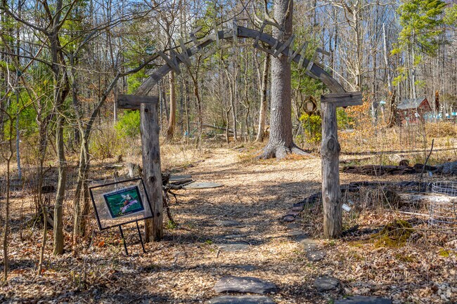 Welcome to Herrontown Woods Pine Forest in Princeton, NJ.
