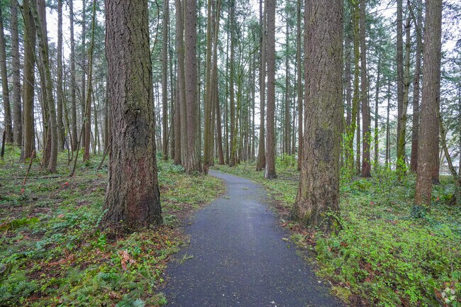 Tranquil walking trails through the Douglas Firs in Fir Grove Park in Highland Beaverton.