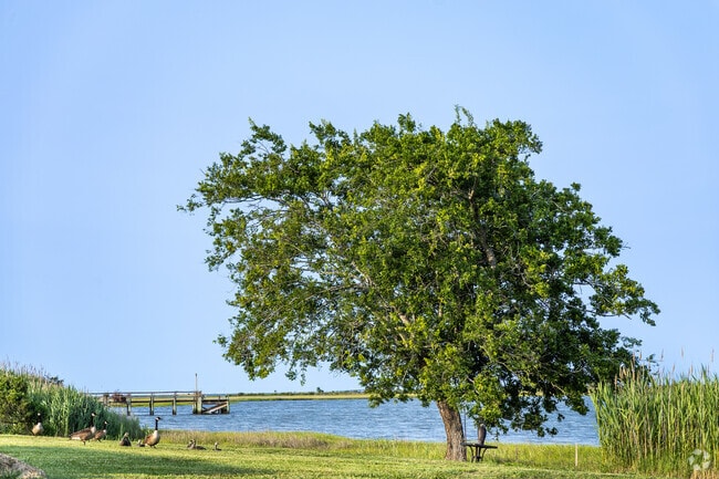 In Atlantic, a few waterfront properties offer geese-filled views and private docks—quiet escapes just minutes from the NASA launch pad.
