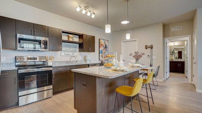 Springs at McKnight Lake, Chaska, MN 55318 - photo 4