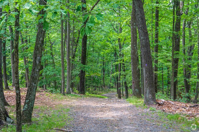 Hiking trails in Tourne County Park.