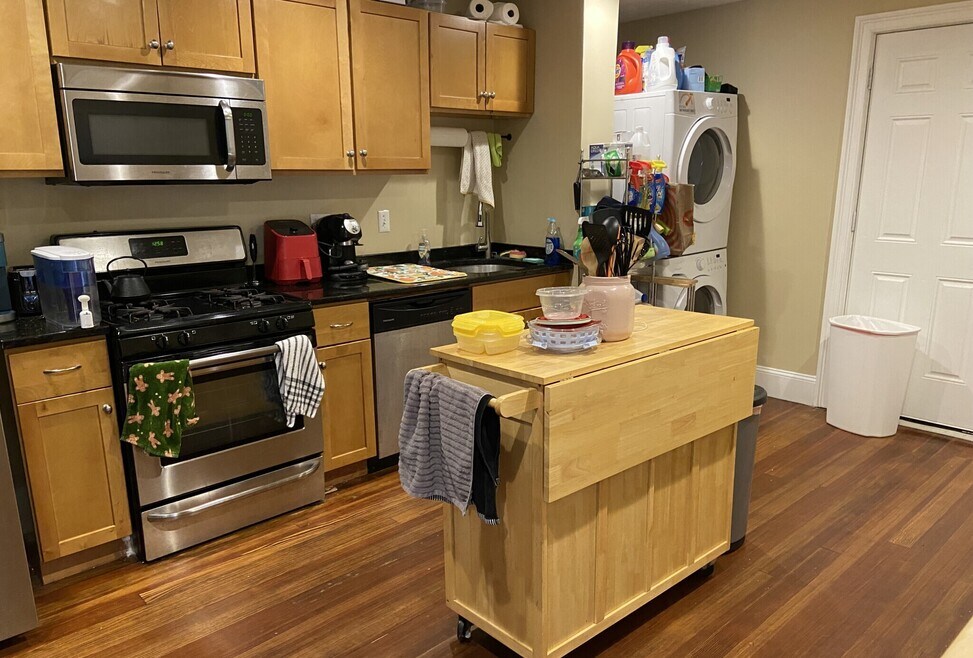 44 Hillside St unit 2, Roxbury Crossing, MA 02120 - photo 1