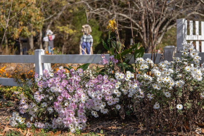 Owners take great pride in their gardens.