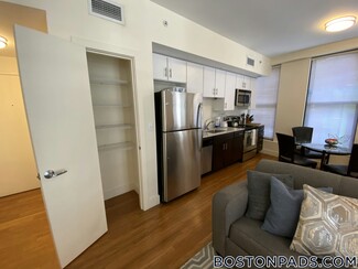 8 Winter Place Unit 502, Boston, MA 02108