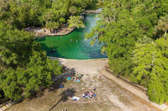 Recharge with a picnic at Wekiwa Springs in Apopka.