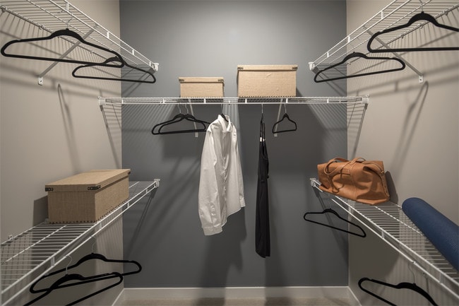 The Vine, Laurel, MD 20723 - photo 5