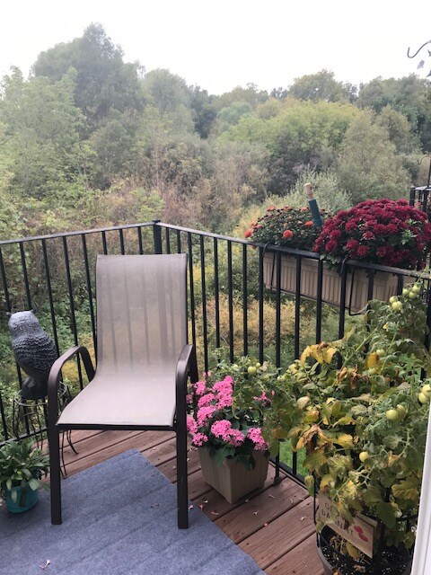 2149 Knotty Pine Tr, Howell, MI 48855 - photo 4