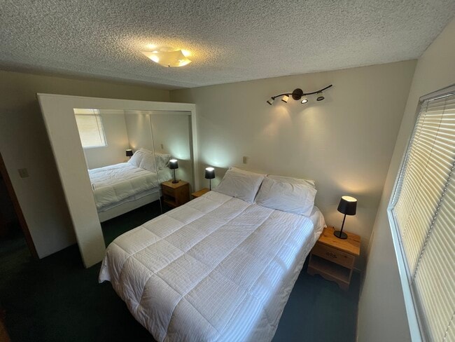 601 Highway 50 unit 309, Zephyr Cove, NV 89448 - photo 3