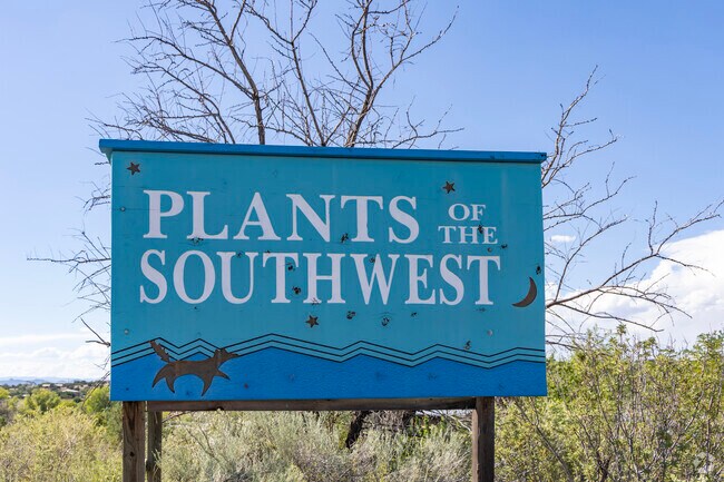 Plants of the Southwest sells, as it's name suggests, all sorts of desert plants in Agua Fria.