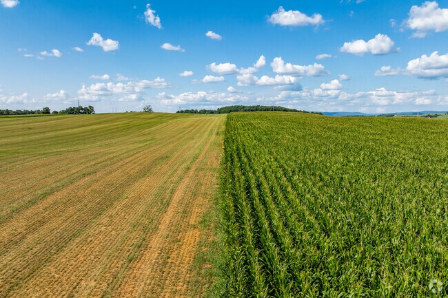 Rolling farmland makes up a large portion of the landscape in Mount Aetna.