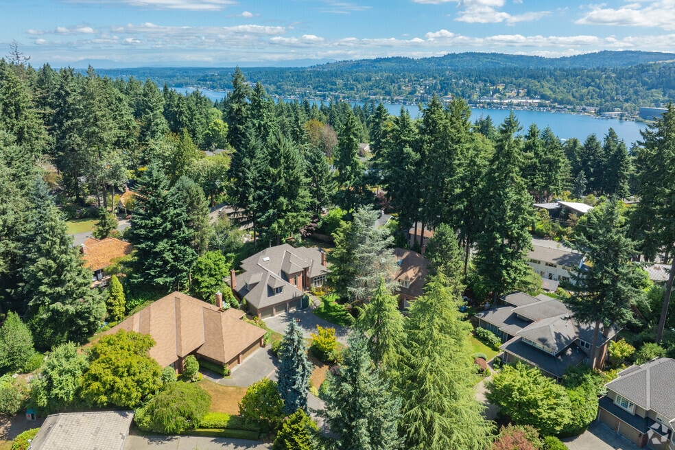 Tarywood_560540_072225_TJW_V1