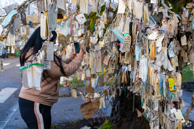 Write a prayer or wish on Irvington's famous wishing tree.