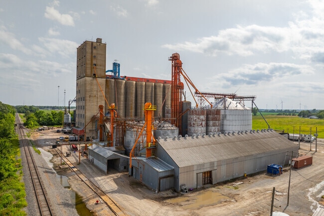 Agriculture is at the center of Wynne's economy.