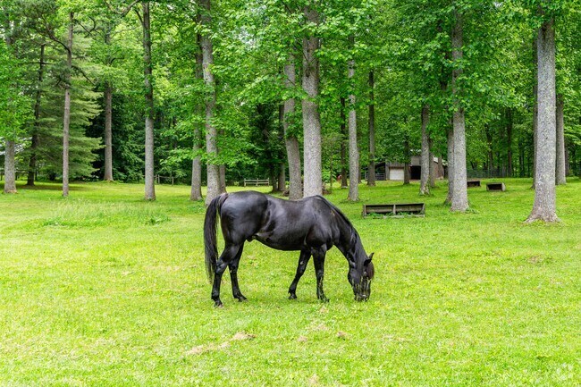 Walden is home to many equestrian enthusiasts.