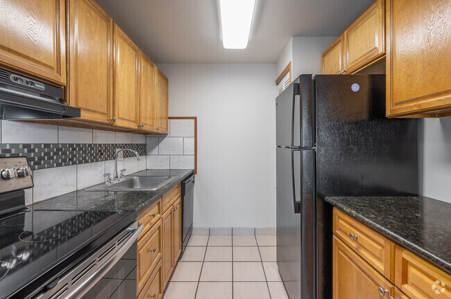 1 BD, 1 BA - 700SF - Kitchen