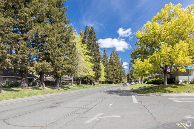 You will find wide streets lined with tall trees in Sierra Oaks.