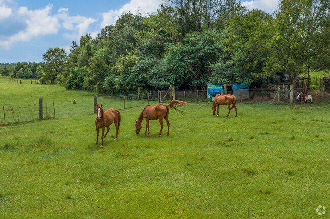 Residents of Bath-Edie raise a variety of farm animals on their land that averages over 2 acres.