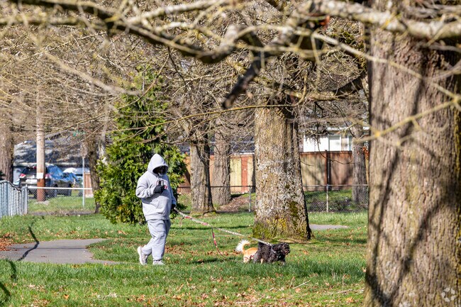 Walking the dogs in Midland WA.