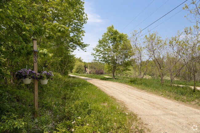 A country road like this one is common in North Alfred.