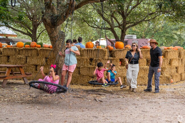 Pumpkin Patch Festival - Davie