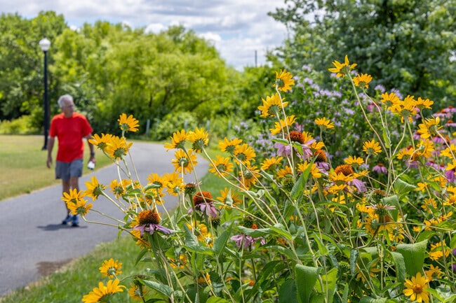 Scenic nature trails can be found throughout Overlook Park in Blossom Hill.