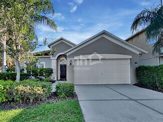 8124 Diablo Ct, Trinity, FL 34655