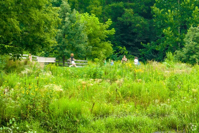 Few families with children get together at the Warrenville Grove Forest Park.