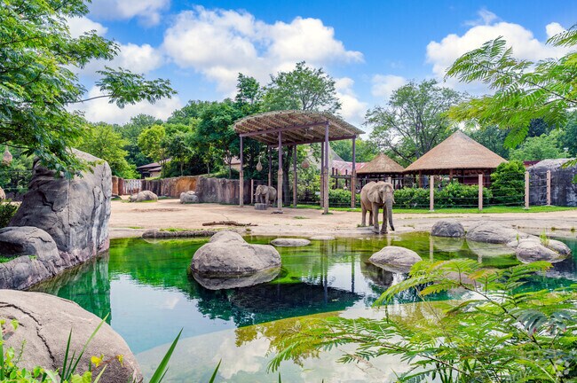 Wild animals and humans alike have made Old Brooklyn their home.