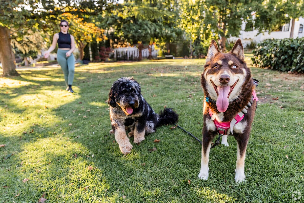 NH_NewPacific_543623_P2_v1_LM_52125