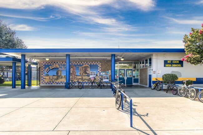 Students can take advantage of numerous sports opportunities at Mt Eden High School.