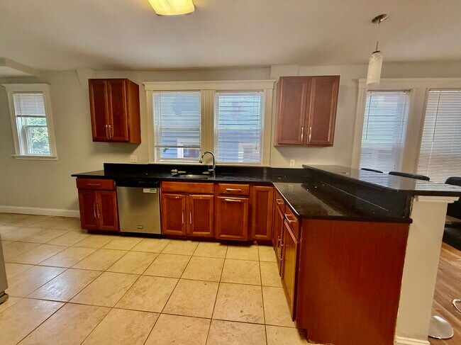 222 Calumet St unit 1, Roxbury Crossing, MA 02120 - photo 4