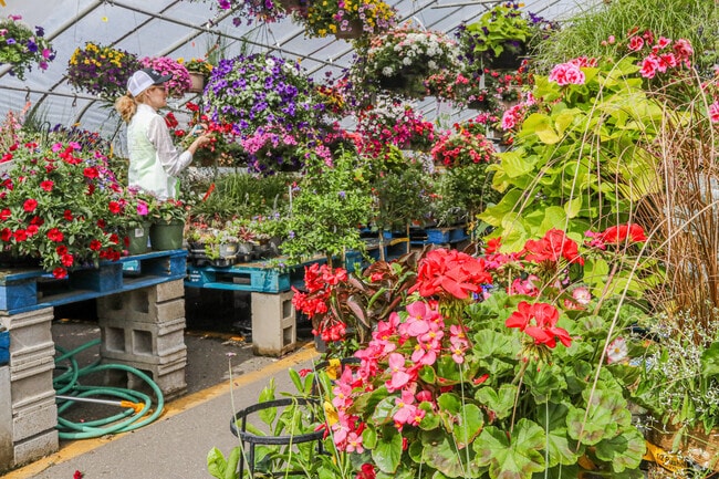A greenhouse behind Ken’s Fruit Market serves Garfield Park’s gardening community.