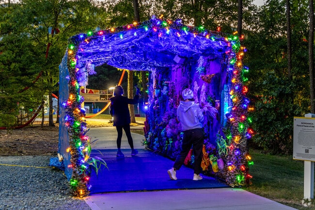 Enjoy the Charlotte International Arts Festival at Ballantyne's Backyard.