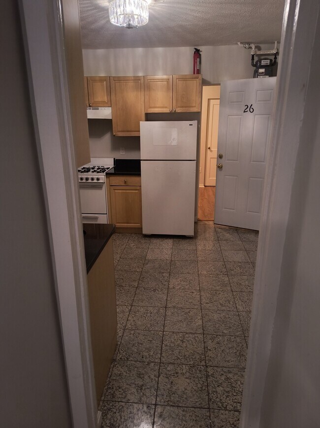 81-21 Saint Stephen St unit 42, Boston, MA 02115 - photo 5