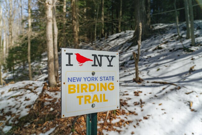 Many parks in Arkwright are known for their conservation efforts and offer birdwatching.