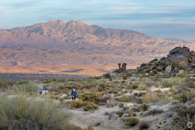 Be sure to bring plenty of water for your hike in the desert when in Dynamite Foothills.