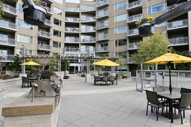 All Year Gas Grills/Barbeques