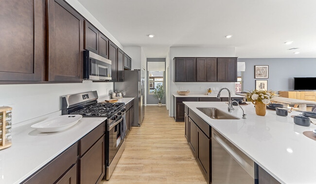 10015 N Black Dalea unit 38784446, Marana, AZ 85653 - photo 7