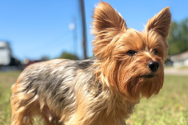 Bring your little friend out to enjoy Bartow Park.