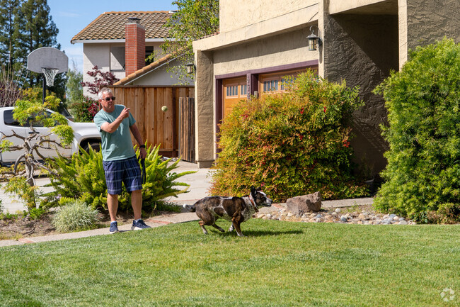A sunny game of fetch brings playful energy to a front yard in Pierce Ranch, Almaden Valley.